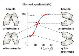 Tuuletuksen ja verenkierron