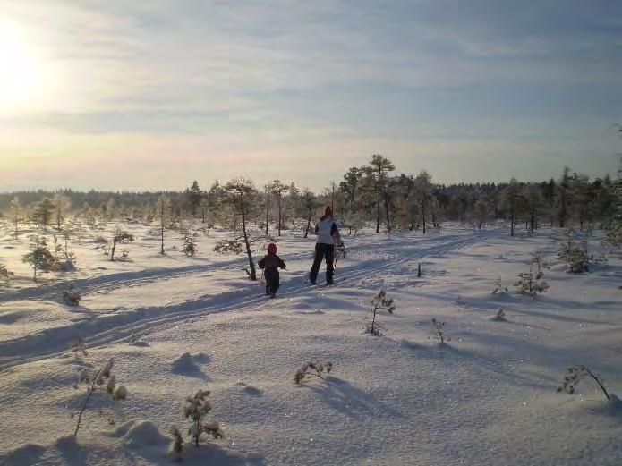 Torronsuon kansallispuisto Suomen syvin suo lähellä