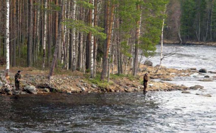 Evolla voit kävellä helpoilla luontopoluilla tai lähteä ilvesten patikkareiteille Asikkalaan ja