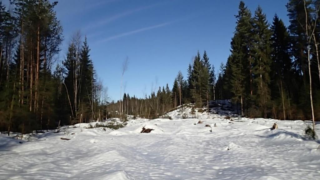 KOHDE 2 Kohteessa 2 liito-oravan kulkuyhteys ylittää asemakaavaehdotuksen mukaisen Mossin puistokadun. Katu rakennetaan tällä kohtaa penkereelle.