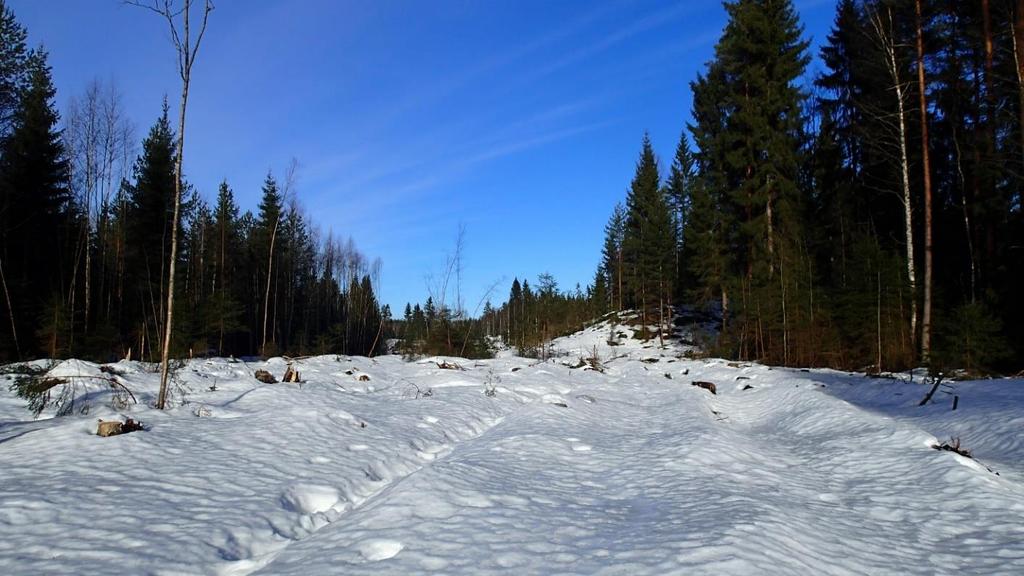 Kohteen 2 poikki on esitetty Lamminrahkan hankesuunnitelman liito-oravatarkastelussa primääriyhteyttä tukeva liito-oravan kulkuyhteys (Ramboll 2017).