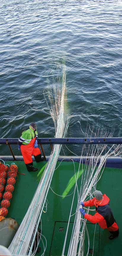YMPÄRISTÖMYRKYT Itämerestä mitattiin 1990-luvulla korkeita dioksiinien ja PCB-yhdisteiden pitoisuuksia. Terveydelle haitalliset ympäristömyrkyt kerääntyvät eniten rasvaisiin kalalajeihin.