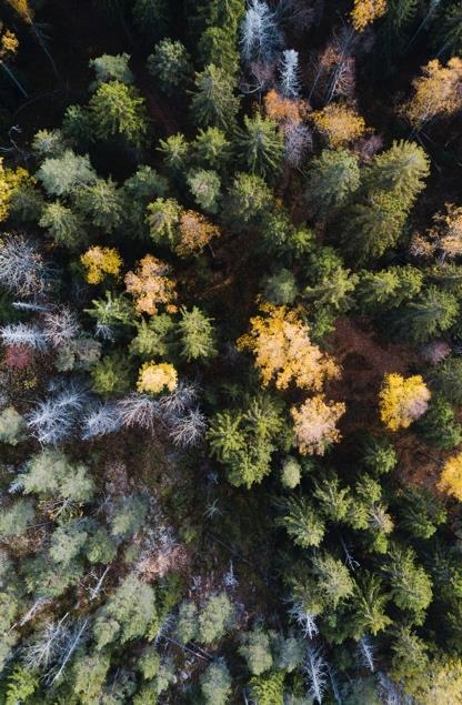 YHTEENVETO Megatrendit vaikuttavat liikeympäristön muutokseen. 10 vuotta kasvua organisesti ja yritysjärjestelyin Taaleri on osiensa summa. Meille vastuullisuus on tekoja ja vaikuttamista esim.