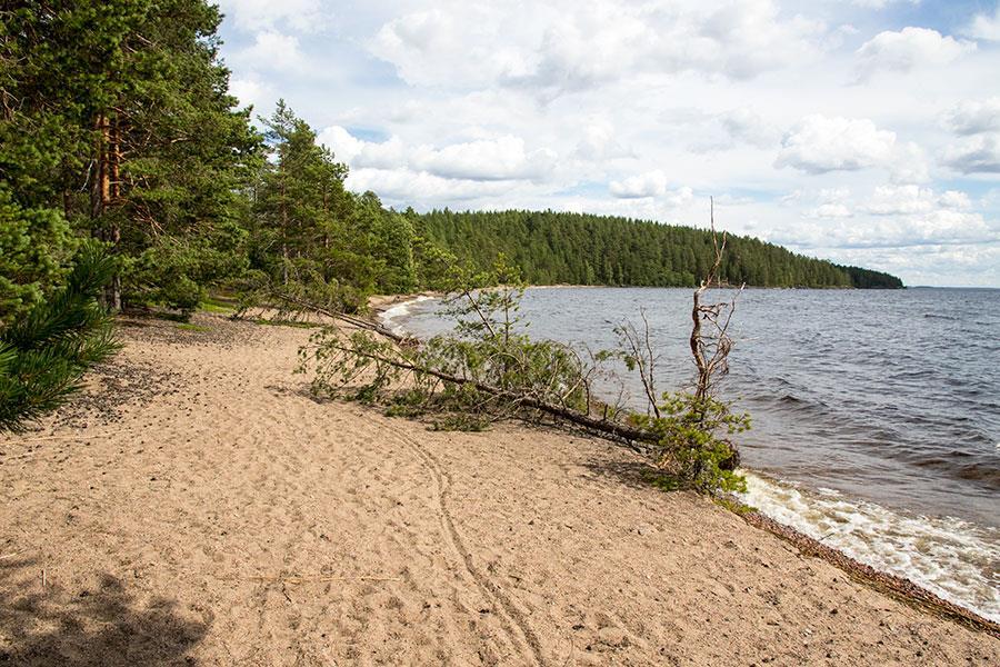 TAIPALSAAREN KUNTA SUUR-SAIMAAN OSAYLEISKAAVAN MUUTOKSET KYLÄ- NIEMEN JA VE LUONNOS 15.8.
