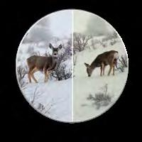 5 15x56 RD MEOPTA TARKKA NÄKYMÄ Korkealuokkaisen optisen lasin omaavat linssit ja prismat on hiottu ja kiillotettu huolellisesti parhaan