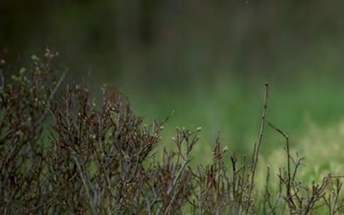 Suuremman linssin omaavat tuotteet sopivat erityisesti heikkoihin