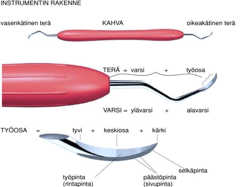 17 Kuva 1. Parodontologisen käsi-instrumentin perusrakenne (LM-Instruments Oy). Varsi muodostuu kahdesta osasta, ylävarresta ja alavarresta.