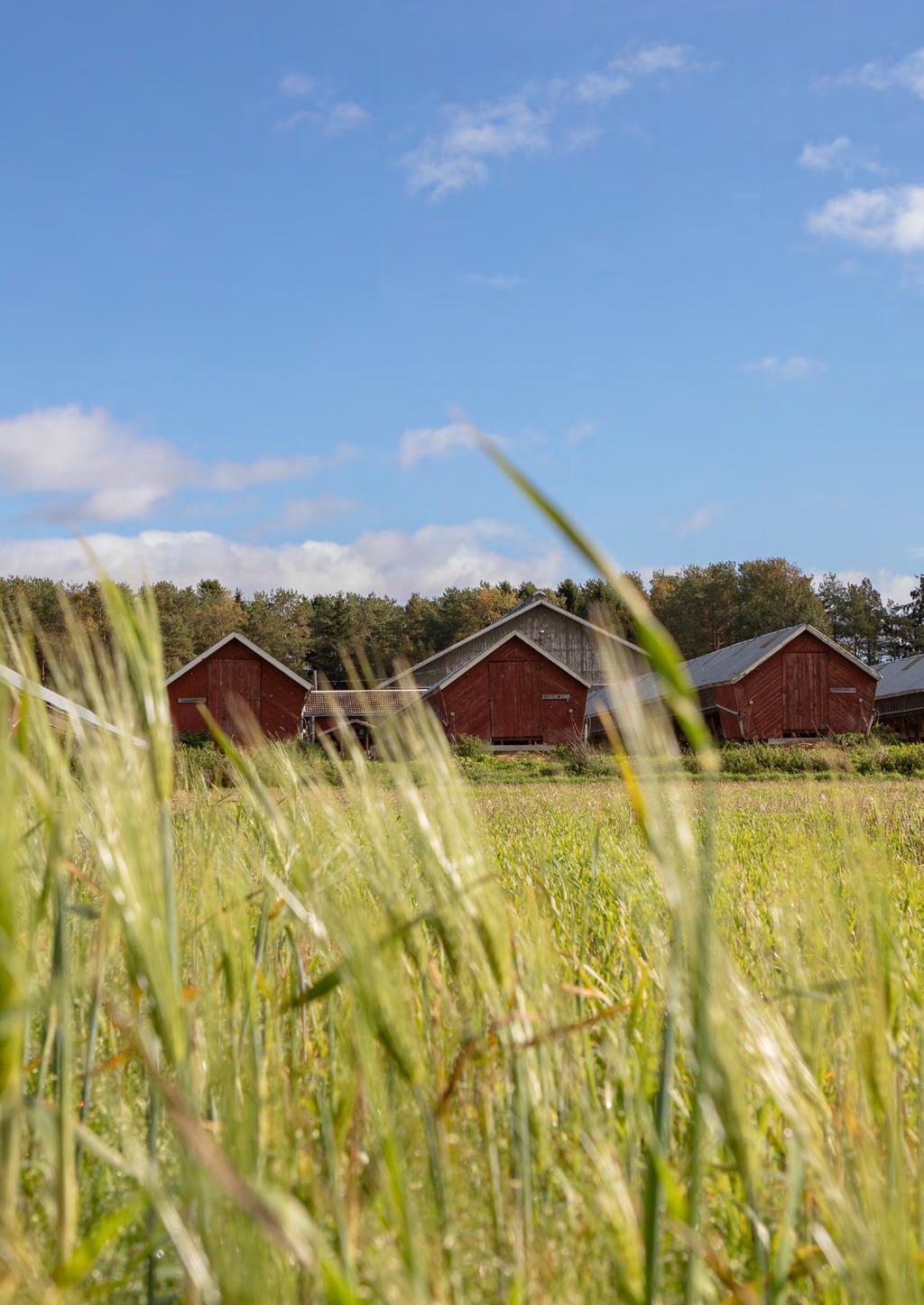 Ympäristö