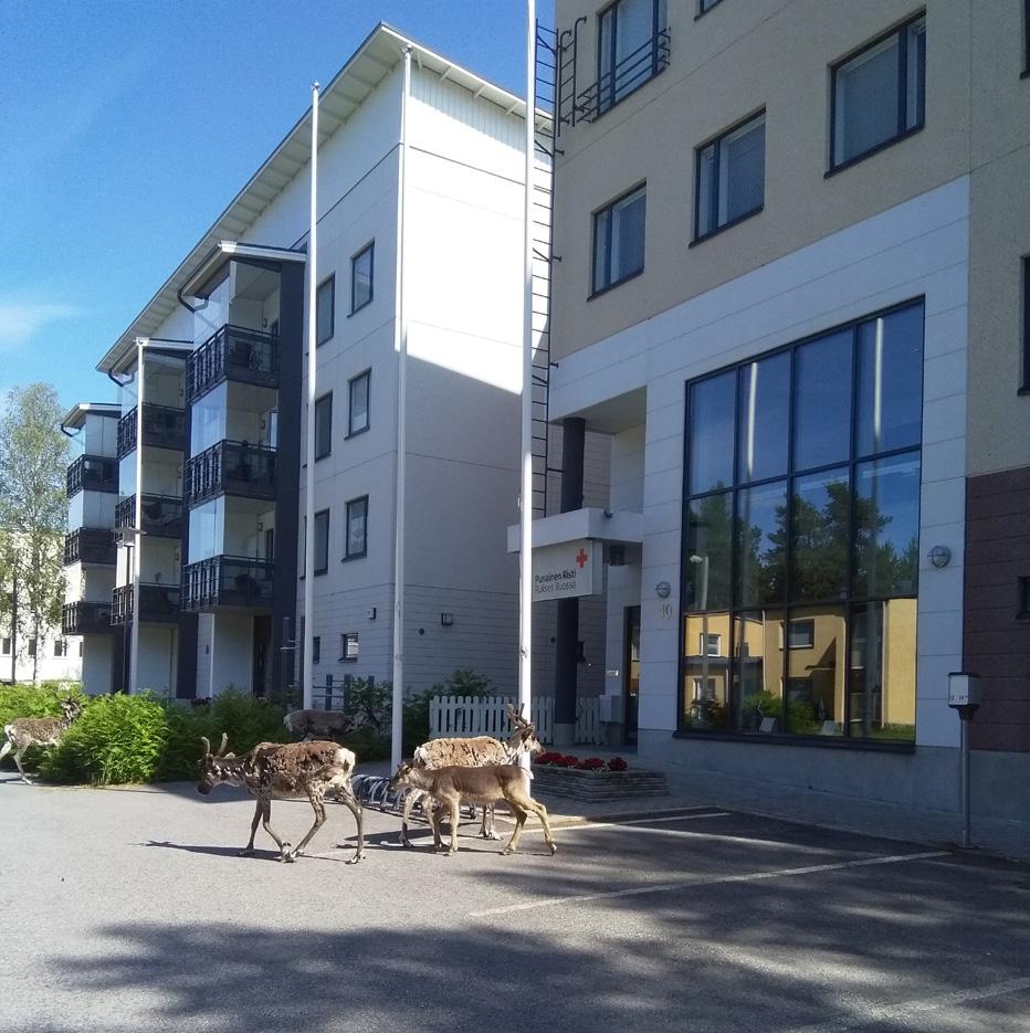 PÄÄKIRJOITUS 22.8.2019 Syksyn tervehdys piiritoimistolta Hyvää syyskauden alkua.