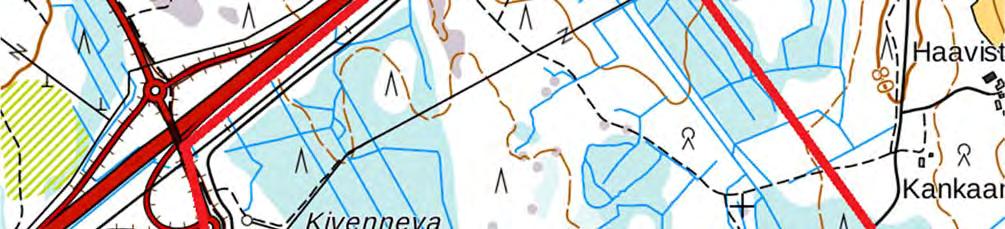 Lepakot kuuluvat myös EU:n luontodirektiivin (92/43/EEC) liitteessä IV (a)