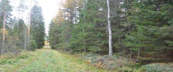 yhdistävä vanha polkureitti ja