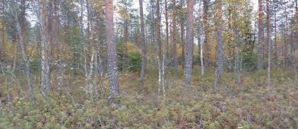 eteläpuolella oleva