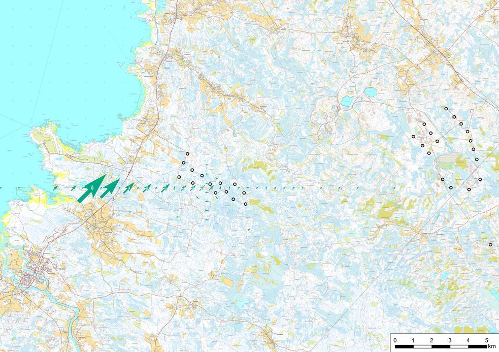 1-49 920-969 yksilöä (n = 14082) muuttonuolessa