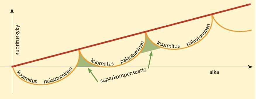 Superkompensaatioilmiö 17 Selitä