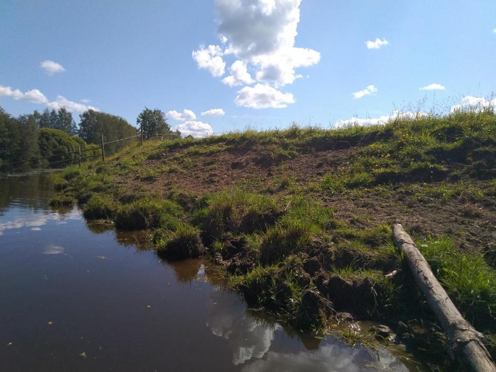 19 Kuva 12. Karjan aiheuttamaa eroosiota Lapuanjoella. Kuva: Panu Palonen. Hourunkosken voimalapadon alajuoksulla havaittiin selvä maansortuma Lapuanjoen ulkokaarteessa (Kuva 13).