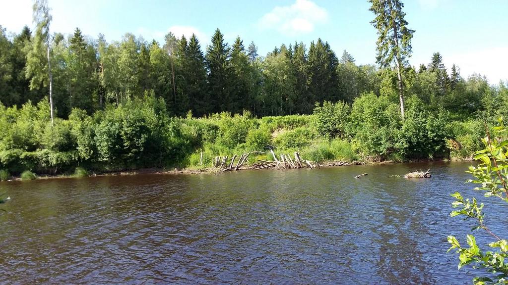 40 LIITE 5. Maansortumaraportti Lapuanjoki, Uusikaarlepyy. Ilmoitus maansortumasta saatiin Uudenkaarlepyyn ympäristönsuojelutarkastaja Janne Toivoselta 27.6.2019.