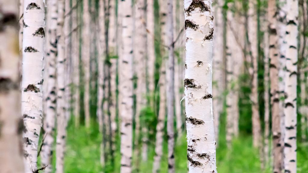 Viestintä on vuorovaikutusta, yhteistä ajatusten vaihtoa. Kun jaamme tietoa ja kokemuksia, voimme kehittää sitä, mikä on hyvää ja muuttaa sitä, mikä on huonosti.