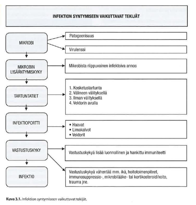 R. Vuento. Kirjassa: Hoitoon liittyvien infektioiden torjunta, 6.