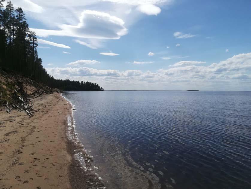 Huonoimman arvion saivat selkeästi laiturit (3,0). Kävijät olivat melko tyytyväisiä palveluiden määrään kokonaisuudessaan Oulujärven retkeilyalueella (4,2).