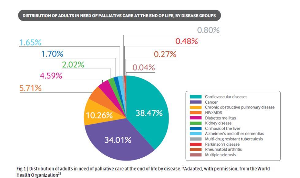 PALLIATIIVISTA HOITOA TARVITSEVAT POTILAAT BMJ