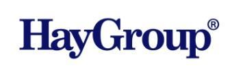 Varmista palkitsemisenne kustannustehokkuus, sisäinen johdonmukaisuus ja ulkoinen kilpailukyky Hay Groupin palkkatutkimuksen avulla!