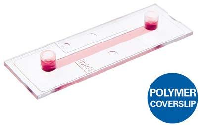 1702285 80816 15 kpl µ-slide angiogenesis 1500815 81501 15 kpl µ-plate