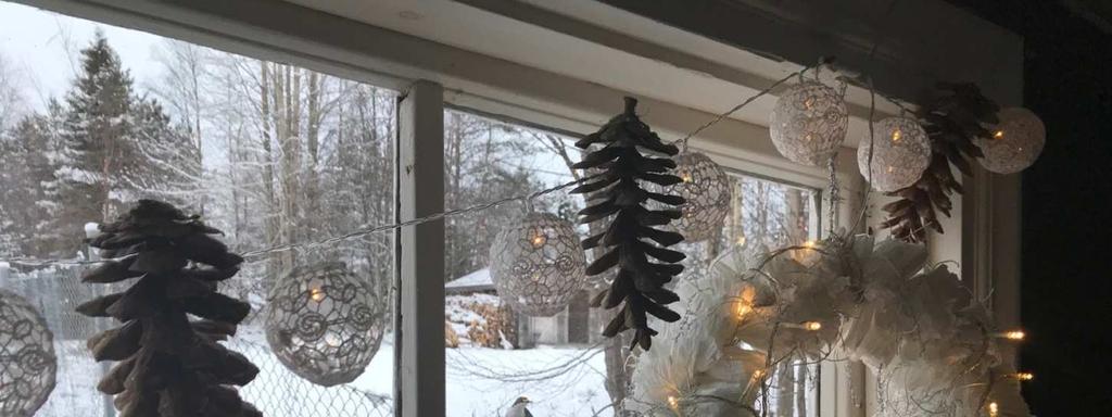 Luontokuvaus ja ruokamatkailu
