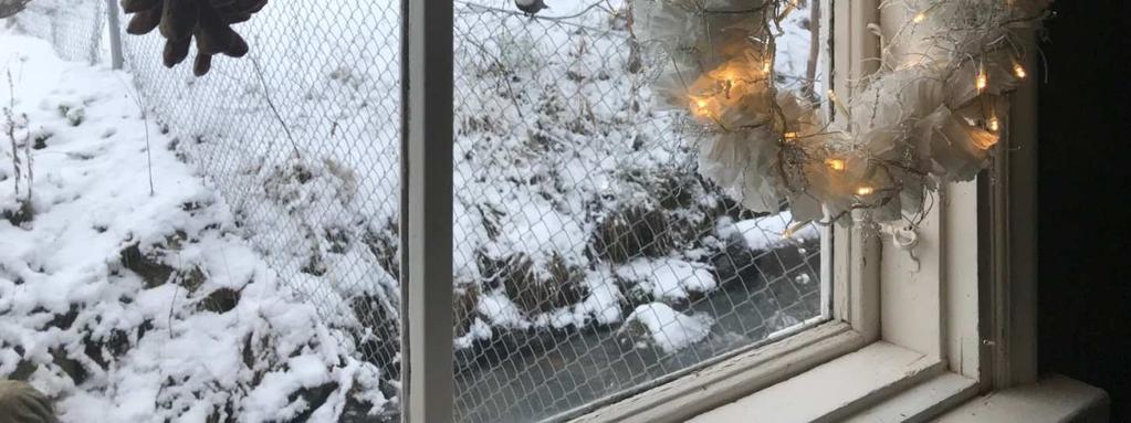 Koskikara Käylän kahvilasta