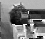 a reasonable  The used features from