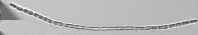 Figure 12.