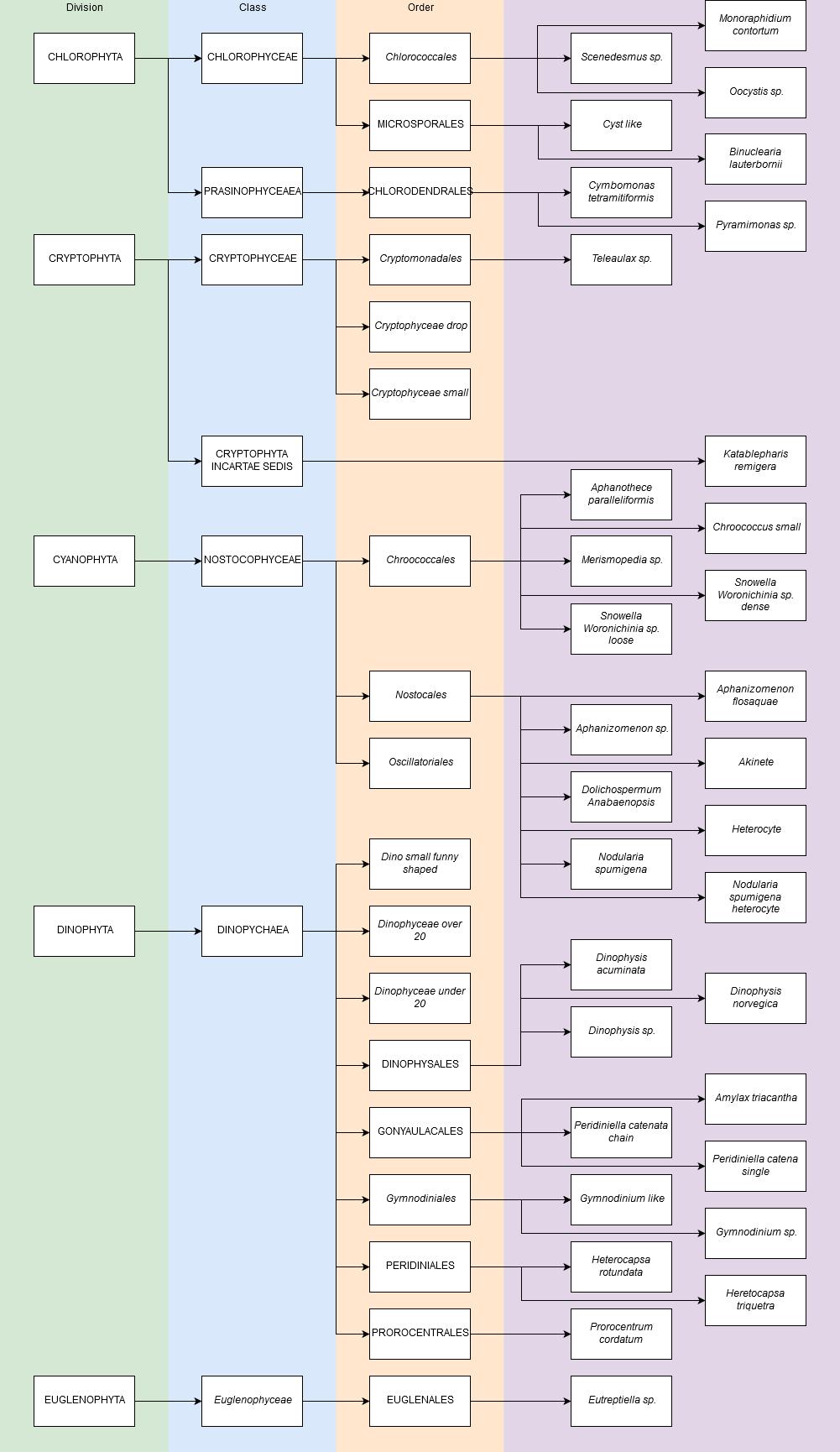 Figure 12. Taxonomy of the classes in the dataset.