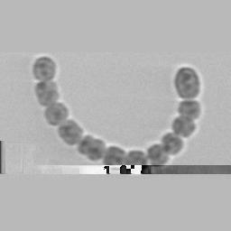 4 Description of experiments