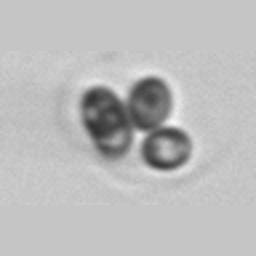 small scale empiric tests and