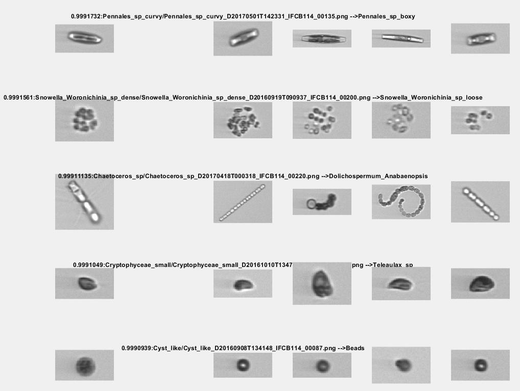 Figure 19.