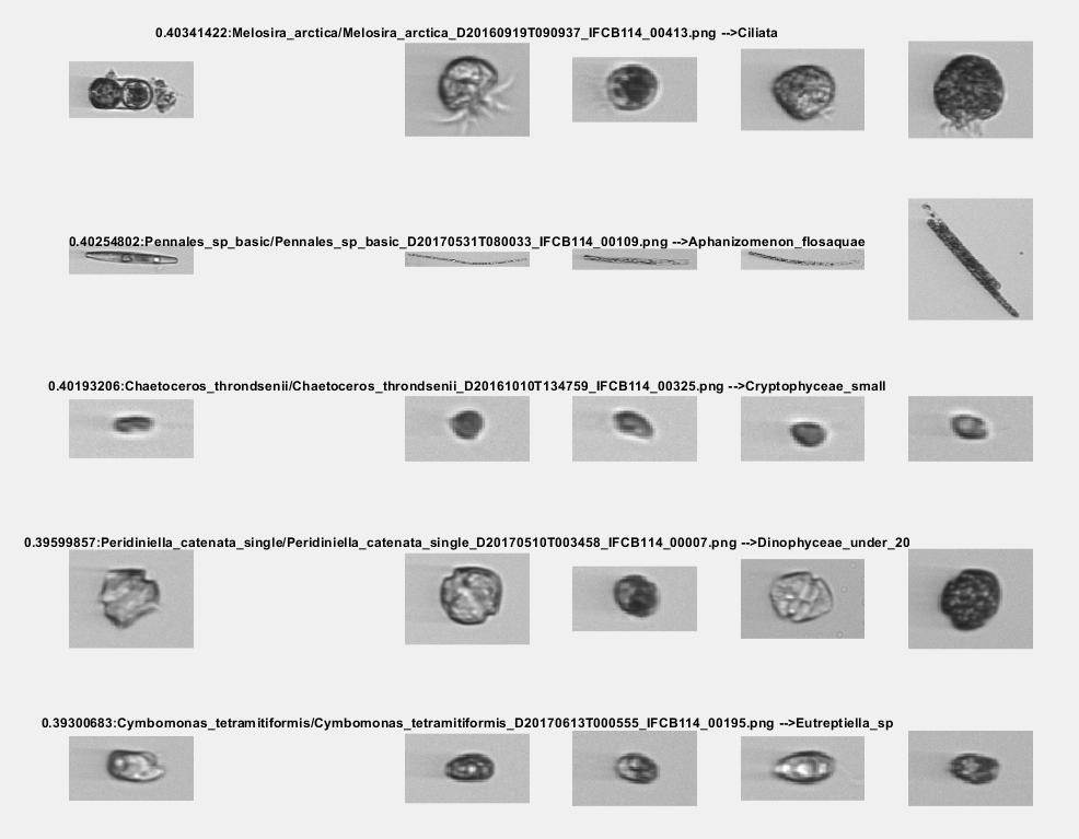 Misclassified images on the left and example images from the