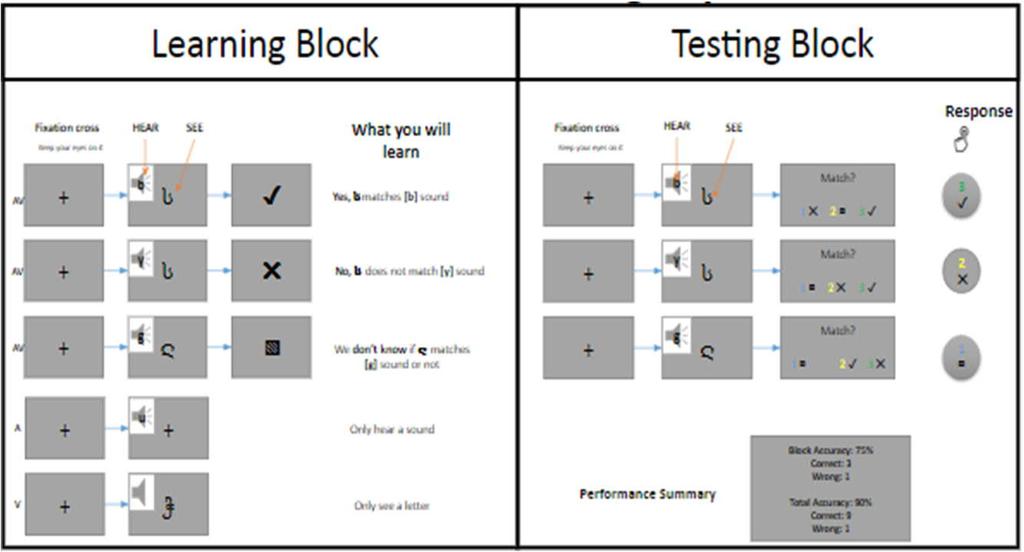 3.3.2 MEG-tutkimustehtävä Audiovisuaalista yhdistymistä testaava tutkimustehtävä kesti ensimmäisenä päivänä noin 40 minuuttia (12blokkia), ja toisena päivänä puolet tästä, eli 20 minuuttia (6 blokkia).