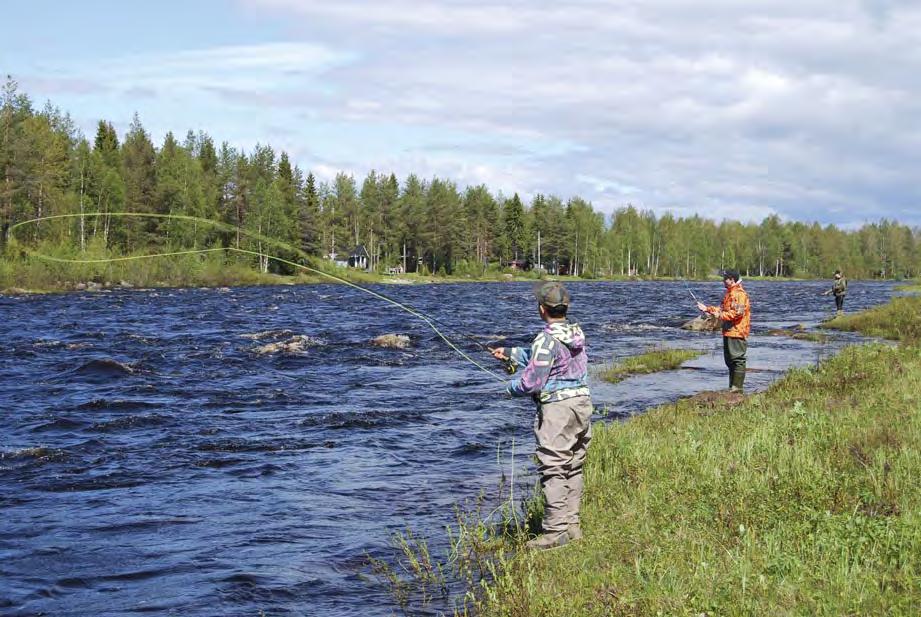 Kalastusalue Varsinainen edustaja Henkilökohtainen varaedustaja Inari Erkki Soininen Ivalon Erämiehet ry Petsamontie 28, 99800 Ivalo puh. 0400-547 085 ekisoi@suomi24.