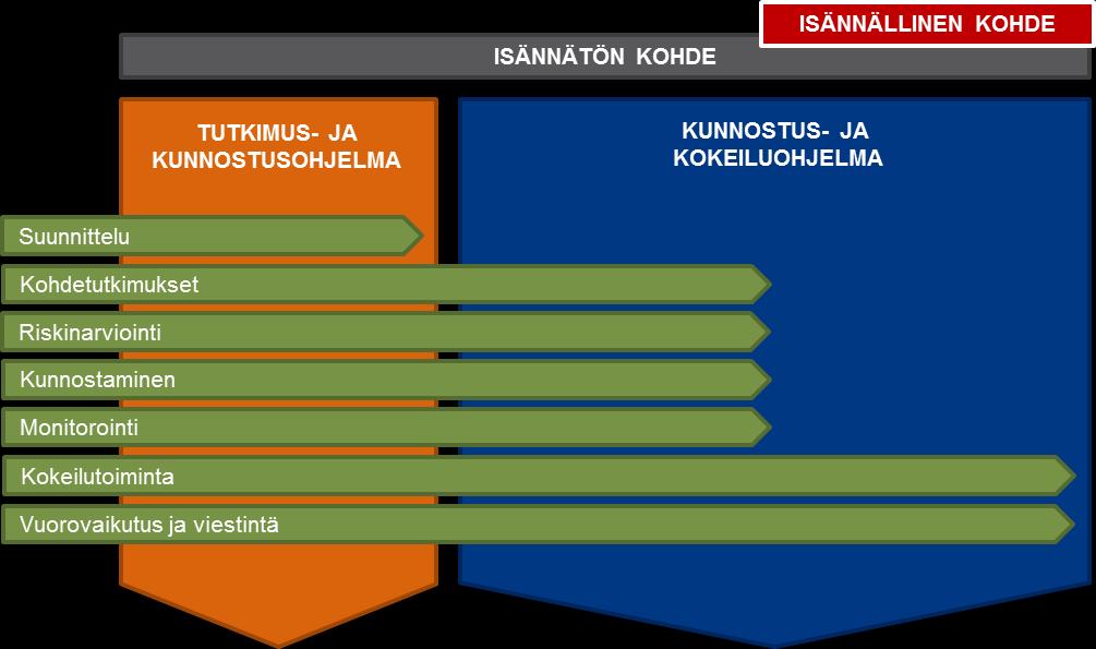 pilotoimista ja skaalaamista.