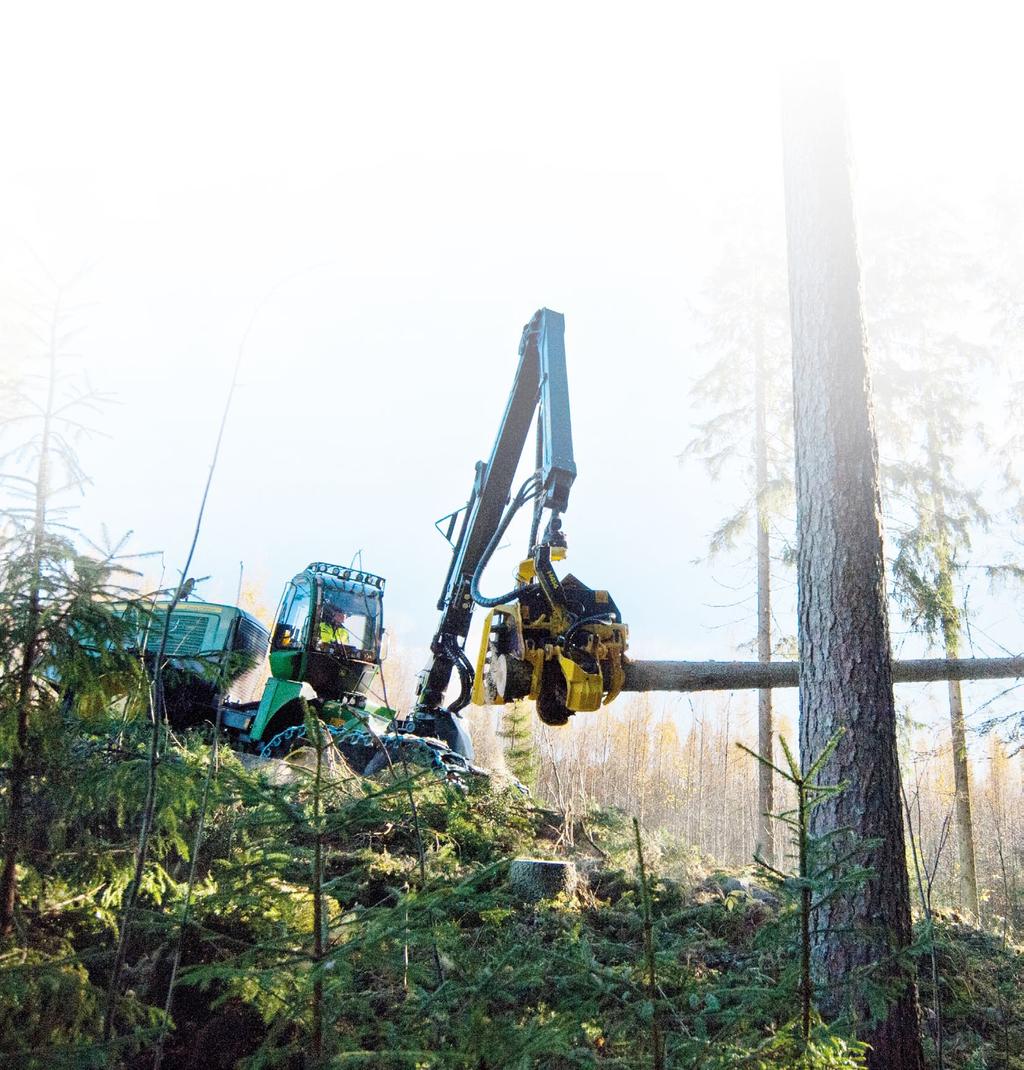 Tervehdys Jokainen metsänomistaja haluaa puustostaan hyvän tuoton. Metsä on sijoitus, jota hyvin hoitamalla varmistat, että se kasvaa, kehittyy ja tuottaa omistajalleen tuloa.