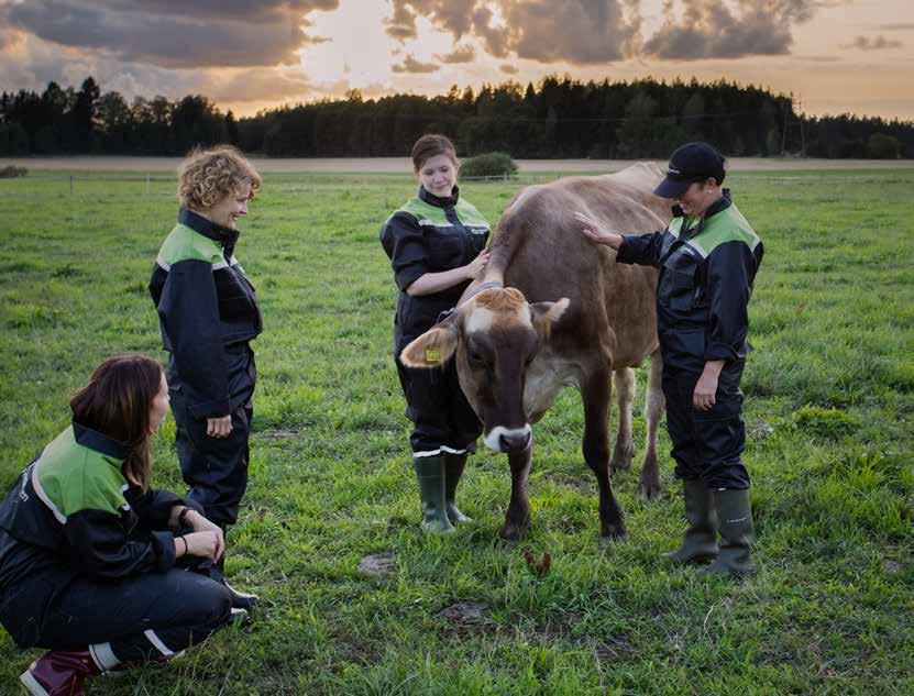Odotusta ilmassa Lantmännen Feedin toimittama julkaisu suomalaisille kotieläintiloille.