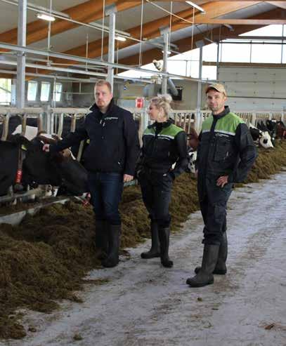 90 lehmän karjasta puolet on holsteinia ja toinen puoli ayrshireä. Karjan määrä lisääntyy vielä, parsipaikkoja on yhteensä 105.
