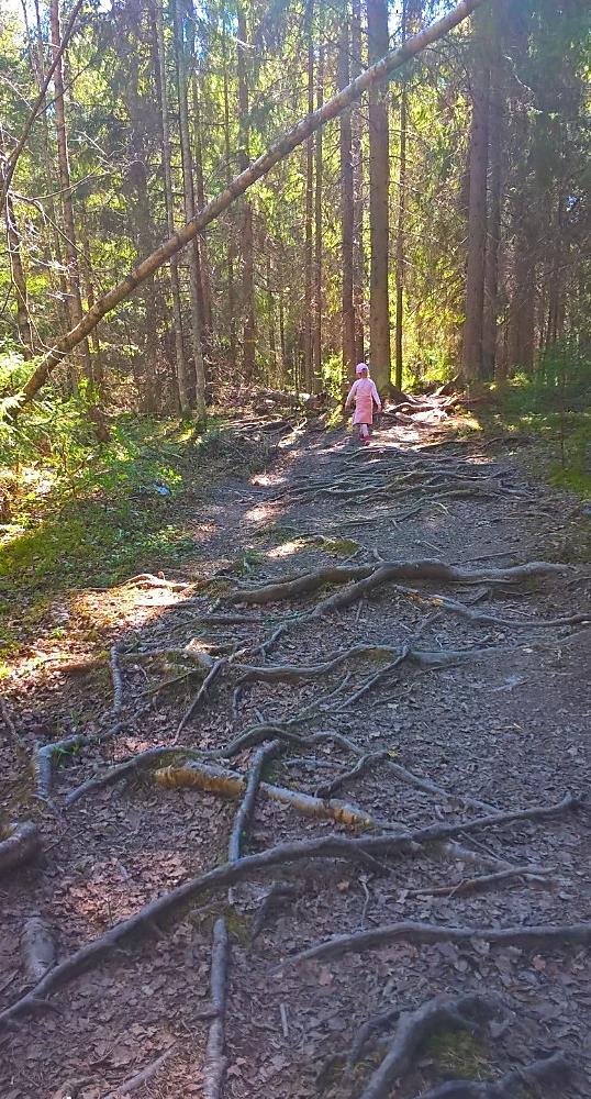 Merirosvoleikistä eheyttämiseen Lapsilla oli pinnalla merirosvoleikki, jota he leikkivät usein niin sisällä kuin ulkonakin.