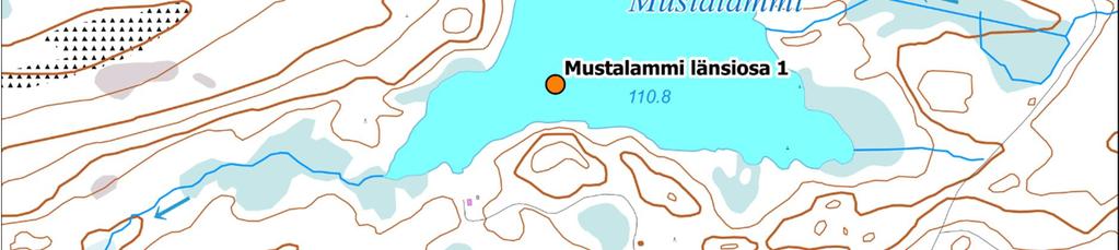 Mustalammin näytteet otti sertifioitu näytteenottaja Arto Muttilainen ja analyyseistä vastasi Länsi-Uudenmaan vesi ja ympäristö ry:n (LUVY) laboratorio, joka on FINAS-akkreditointipalvelun