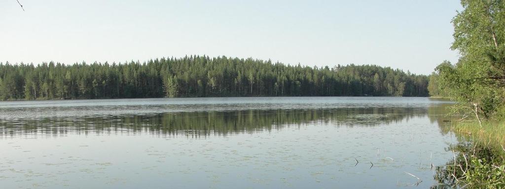2 / 3 Mustalammin voimakkaan ruskea veden väriluku (200 Pt/l) on seurausta humuksesta, jota kertyy ympäröivästä metsä- ja suometsäalueesta.
