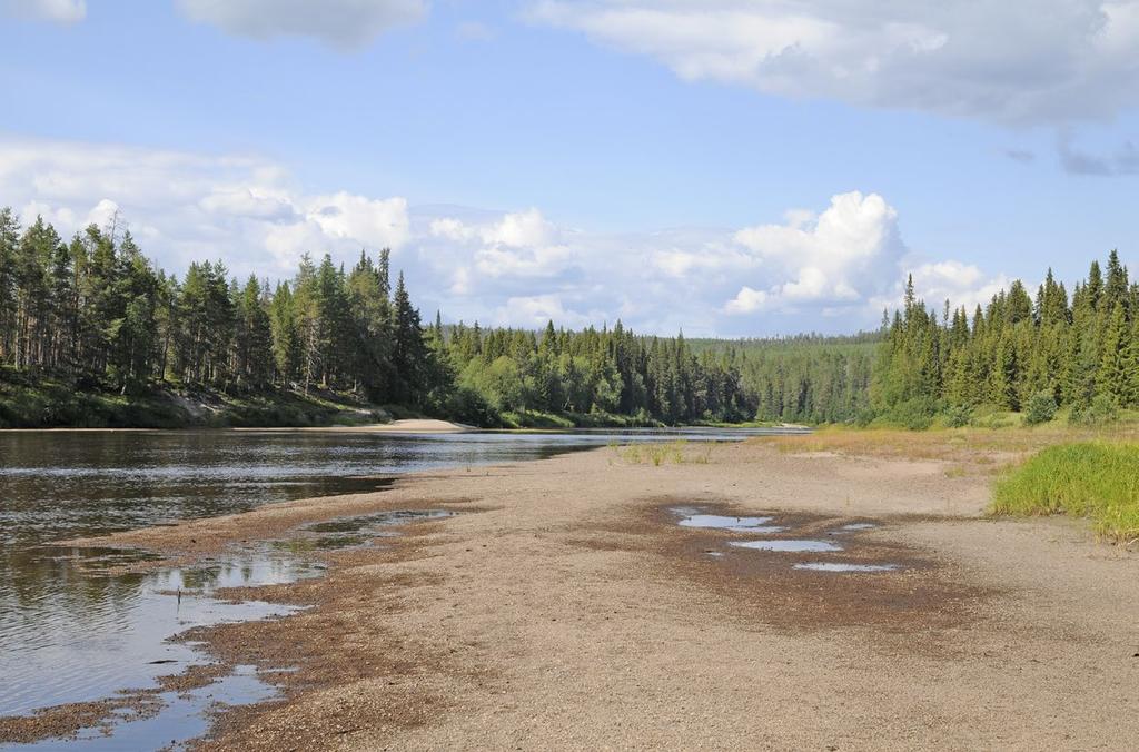 Kitinen) varsilla, jolloin muun muassa osa jokivarsien tunturikasviesiintymistä on tuhoutunut.