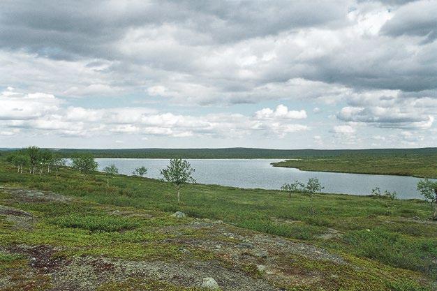 Luokkamuutoksen syyt: Pohjois-Suomessa menetelmän muutos ja tiedon kasvu. Kehityssuunta: Vakaa.