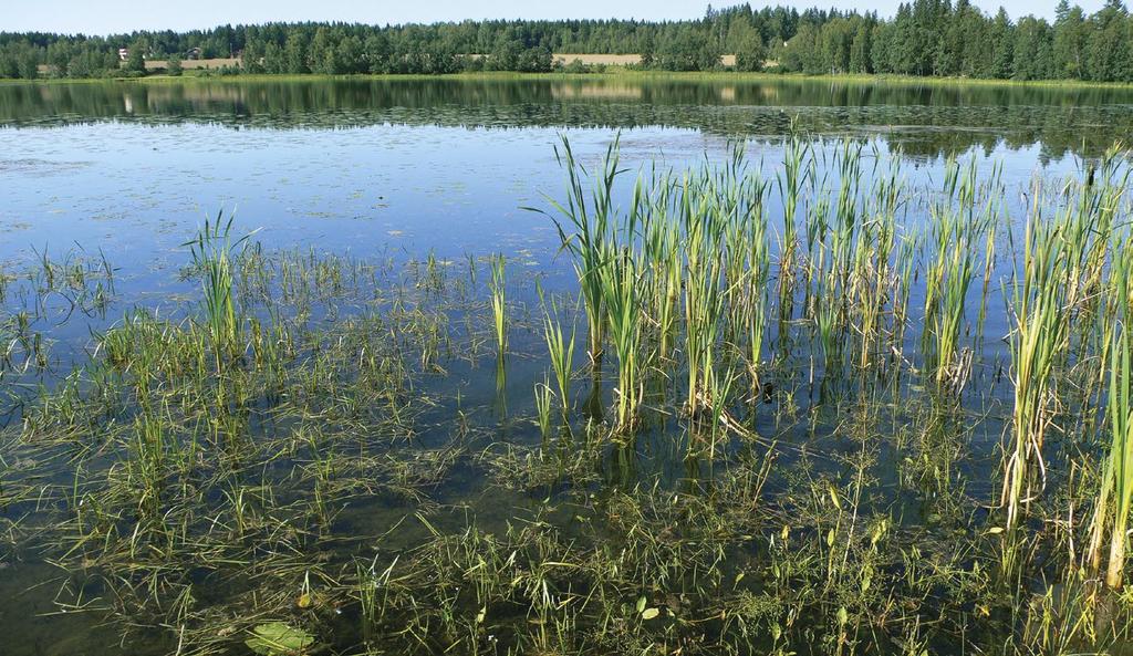 Sisävedet ja rannat Ahuli, Kangasala. Kuva: Jarkko Leka Luonnehdinta: Runsasravinteiset järvet sijaitsevat savikkoalueilla tai runsasravinteisilla kallio- ja maaperäalueilla.