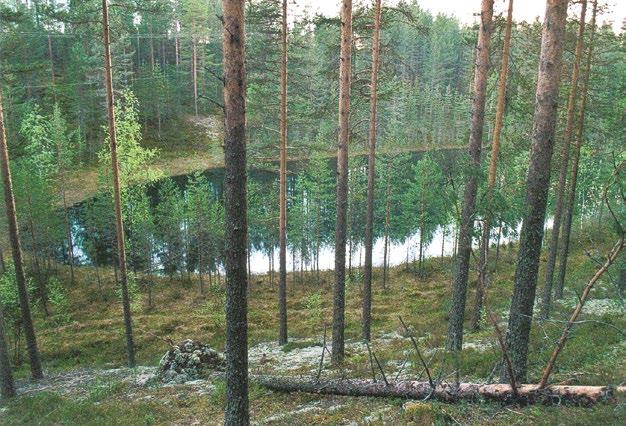 kuitenkin liukuva niin kasvillisuuden ja kasvilajiston kuin muidenkin eliöryhmien suhteen.