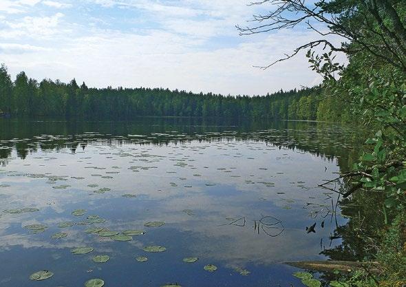 Maantieteellinen vaihtelu: Maantieteellinen vaihtelu näkynee erityisesti rannikkoalueella ja sisämaassa sijaitsevien kalliolampien välillä.