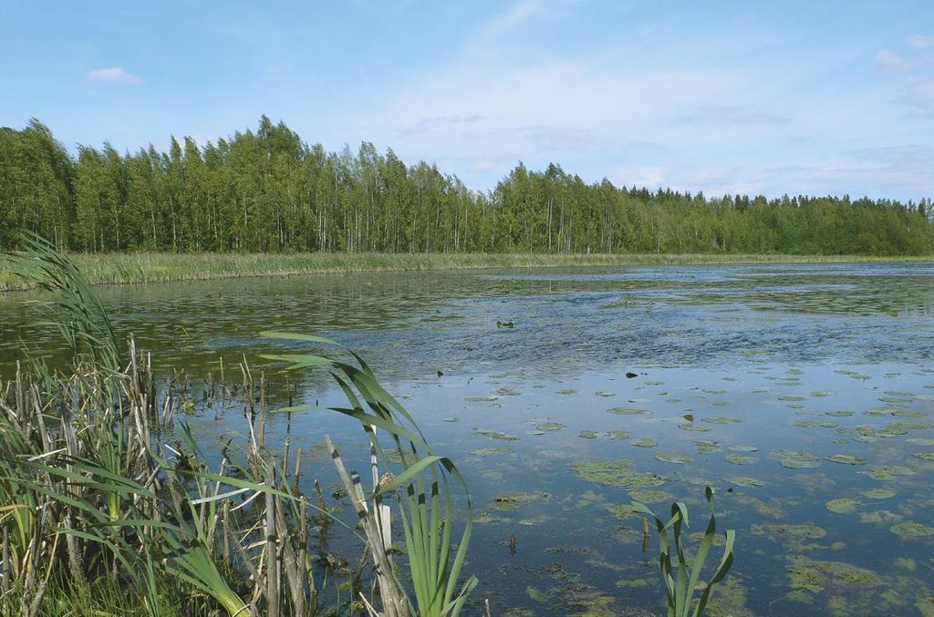 Sisävedet ja rannat Kylälammi, Lempäälä.